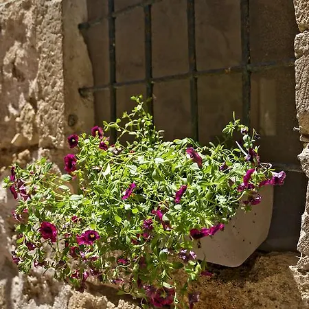 Pensjonat Fagotto Art Residences Chania (Crete)